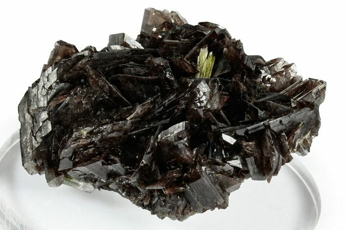 Sharp Axinite Crystal Cluster with Green Epidote - Peru #347906